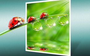 Out of Bounds Action