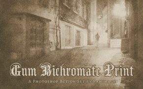 Gum Bichromate Print Action