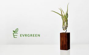 Pflanzen als Design-Objekte