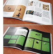 Der fotografische Blick