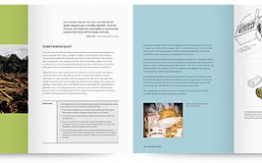 Grafikdesign nachhaltig