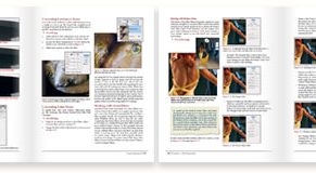 Die kreative digitale Dunkelkammer