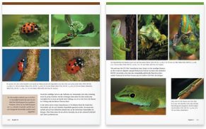 Makro- und Nahfotografie – Der Meisterkurs