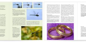 Digitale Fotopraxis: Makrofotografie