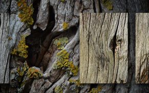 Old Wood Texture Pack