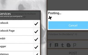 Polarbear – App zum Teilen von Nachrichten