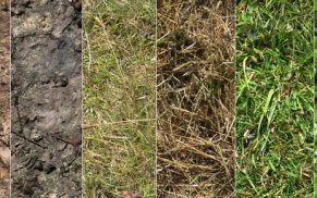 Seamless Ground Textures