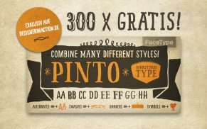 300 Gratis-Downloads der Schriftfamilie »Pinto«