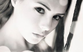 24 Abstract Bokeh Brushes