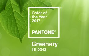 Pantone: Farbe des Jahres 2017