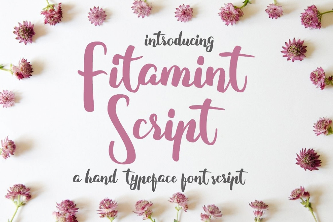 Fitamint Script Free Font Download