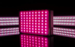 Kreatives LED-Licht im Taschenformat