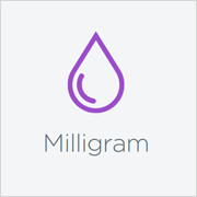 Milligram CSS Framework