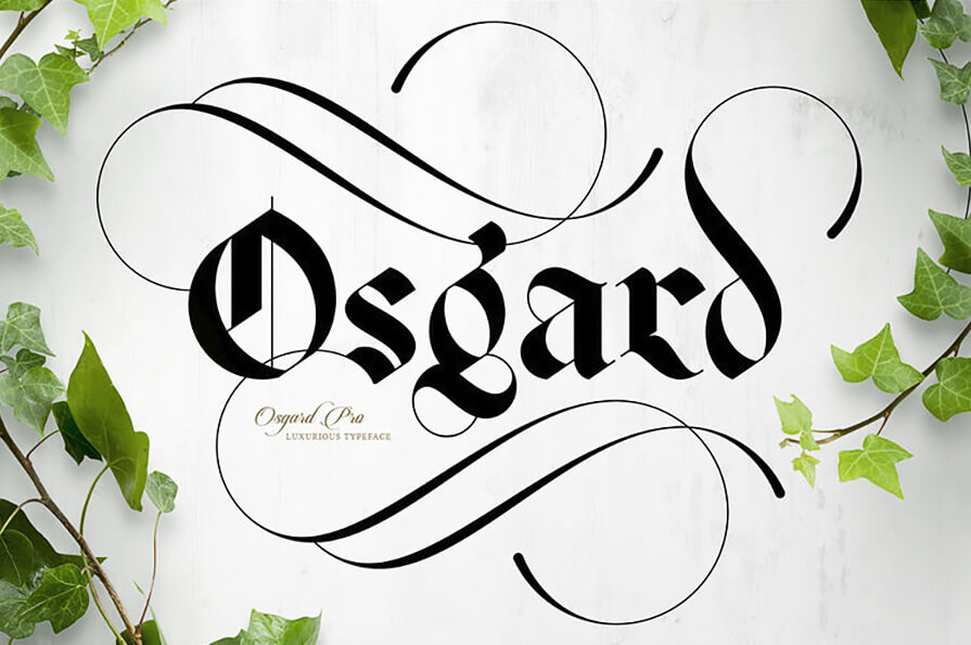 Osgard Pro