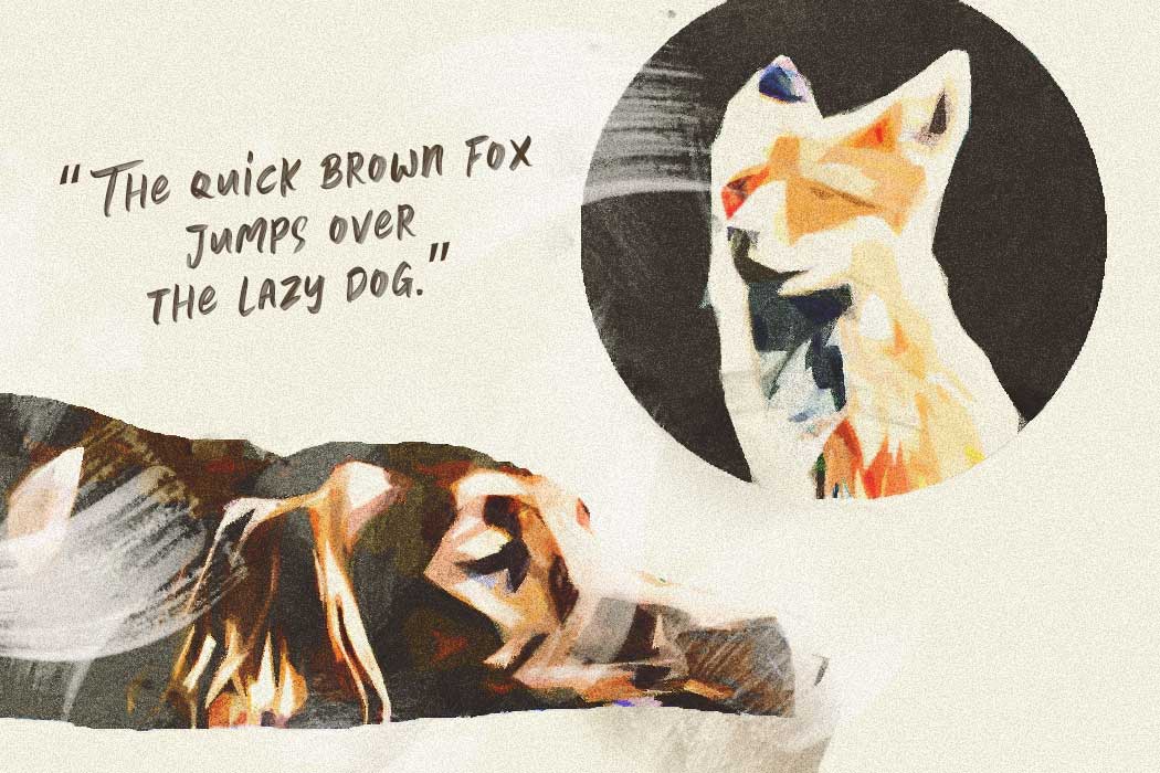 The quick brown fox jumps over the lazy dog