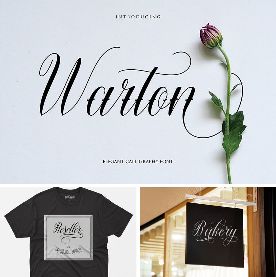 Warton: Elegante Kalligraphie-Schrift