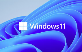 Windows 11 Hintergrundbild